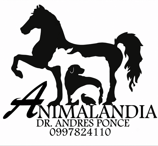 Animalandia